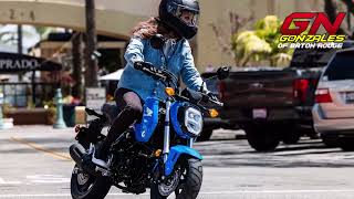 2023 Honda® GROM® Sport Motorcycle For Sale in Baton Rouge LA [upl. by Aurora]