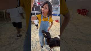 Christina y los animales están muy tristes ☹️ 123andres musicainfantil shorts granja animales [upl. by Valentia]