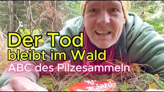 Der Tod bleibt im Wald ABC des Pilzesammelns Essbare Pilze Von Steinpilz Grauseglucke amp Tintling [upl. by Donella]