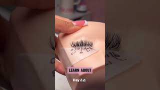 Lash Training  3 day class lashextensions lashartistry lashtraining [upl. by Karole]