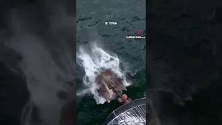 How to Drop Anchor of the ship🚢⚓😱traveltraveldestinationsyoutube ship shortvideo [upl. by Eiramenna463]