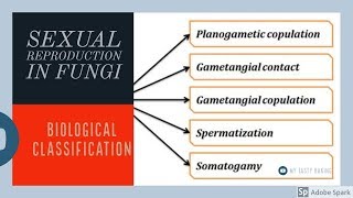 Sexual Reproduction in Fungi  Biological classification Vinay Biology [upl. by Kenward]