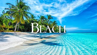 Tropical Beach 4K Relaxation Film  Relaxing Piano Music  Natural Landscape [upl. by Sidonie723]