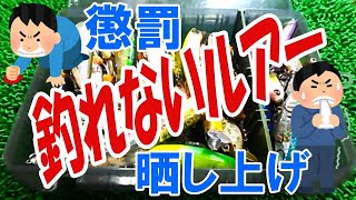 巷では高評価だがまったく結果を出せない「釣れないルアー」を懲罰として晒し上げます！ [upl. by Brest]