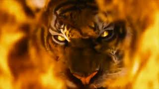 MHS Tiger Pride Video [upl. by Nalepka]