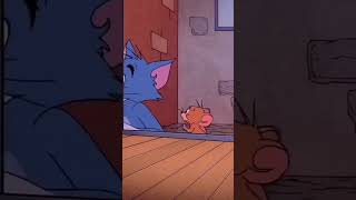 Tom and Jerry shortvideo tom [upl. by Fidele]