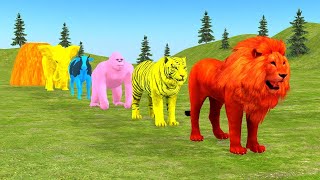 Long Slide Game With Elephant Gorilla Buffalo Hippopotamus Tiger  3d Animal Game  Funny 3d Animals [upl. by Hayouqes]