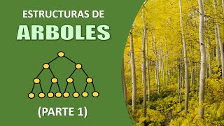 Arboles definiciones y propiedades [upl. by Airdnahc625]