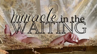 Trust in the Waiting Miracle in the Waiting [upl. by Annauj]