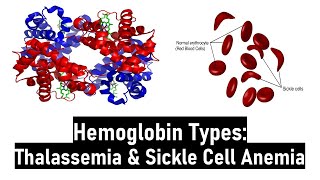 Hemoglobin Types Normal amp Abnormal Alpha amp Beta Thalassemia Sickle Cell Anemia HbS HbC and HbM [upl. by Olva]