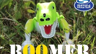 Zoomer Dino Boomer Review [upl. by Eyaf166]