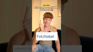 Ich errate eure Dialekt Wörter 🇦🇹⚠️ FOTZHOBEL [upl. by Niatsirk]