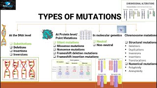 Mutations And Types Of Mutations [upl. by Vince429]