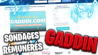 TUTO Tout savoir sur GADDIN  SONDAGES RÉMUNÉRÉS  FR [upl. by Uriisa]