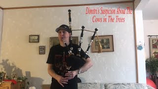 Bagpipes Dimitris Suspicion About The Cows in The Trees [upl. by Leahcir777]