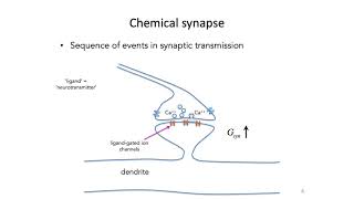 7 Synapses  Intro to Neural Computation [upl. by Novyak]