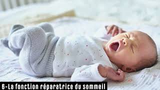 Le Sommeil  La Fonction réparatrice du Sommeil [upl. by Ymac]