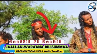 Gaaffii fi Deebii Jaallan Waraana Bilisummaa Oromoo Zoonii Lixaa Waliin Taasifne itti dhiyaadha ✍️💯 [upl. by Karylin]