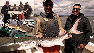 CA Delta Sturgeon Plus Trammel Netting With The CDFW [upl. by Esinrahs203]