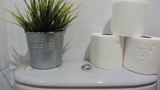 AMBIENTADORES  TIPS PARA EL BAÑO [upl. by Eaner]