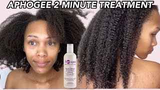 Trying Aphogee 2 Minute Keratin Reconstructor For Healthy Damage Free Natural Hair [upl. by Jacquelynn812]