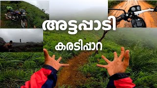 ATTAPADI PALAKKAD  MALAYALAM  KARADIPAARA  Pielee vlogs [upl. by Marguerita]