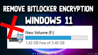 How To RemoveDisable BITLOCKER ENCRYPTION In Windows 11 [upl. by Comras458]