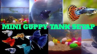 Mini guppy fish tank setup 💗💗🐟💯 Guppy fish tank setup kaise kare ShaktiGameytyt [upl. by Juliane410]