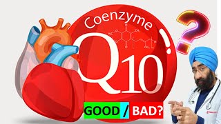 The 1 Food to Naturally Boost CoQ10 Coenzyme Q10 [upl. by Goldia324]