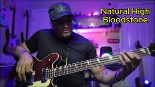 Natural High  Bloodstone  Bass Cover [upl. by Henarat]