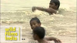 Kids splashing around in the waters of Yamuna River Delhi [upl. by Larimer]