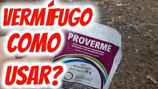 Como usar vermífugo corretamente em aves galinhas frangos Por quantos dias deve vermifugar [upl. by Alvie]