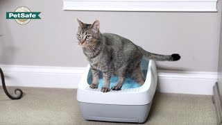 AllInOne Crystal Litter Box System [upl. by Pooi]