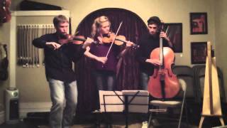 Bach Double Belmont World Fiddling Trio [upl. by Nynahs]