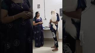 enikki tata poyal mathiyoutube dogvediosdoglover shorts [upl. by Aytida333]