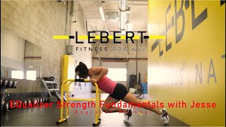 20 Minute FULL BODY Strength Workout  Lebert EQualizer Bodyweight Strength [upl. by Elag475]