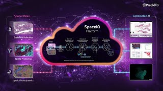 Spatially Intelligent SpaceIQ Platform Spatial MultiOmics Powered by Spatial Computing [upl. by Aihc]