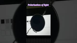 polarization of light😎🙄🤯 polarization light physics physicsfun experiment shortsfeed shorts [upl. by Ayanal]