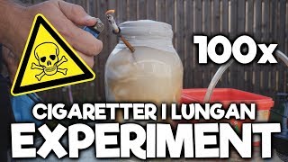 Vad gör 100x Cigaretter Mot Lungorna  EXPERIMENT [upl. by Ettelorahc]