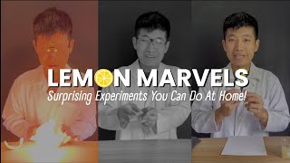 Lemon Marvels 3 Surprising Experiments You Can Do At Home [upl. by Wilen718]