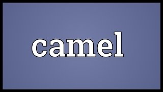 Camel Meaning [upl. by Galliett551]