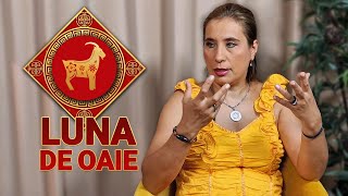 Zodiacul chinezesc cu Anca Dimancea Luna de Oaie aduce liniște și echilibru [upl. by Raine]