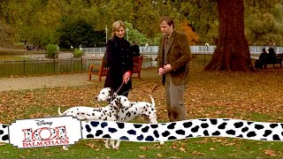 Pongo and Perdita meet  315 Movie Scenes  101 Dalmatians 1996 HD [upl. by Ellezig]