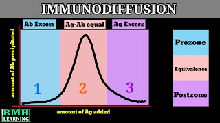 Immunodiffusion  Singe Immunodiffusion  Double Immunodiffusion  Types Of Immunodiffusion [upl. by Ettessil]