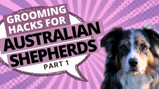 How to Groom an Australian Shepherd StepbyStep Grooming Guide  Part 1 [upl. by Greenebaum]