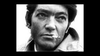 quotCarta abierta a la patriaquot  Julio Cortázar  Alejandro Apo  Audiolibros [upl. by Sibilla]