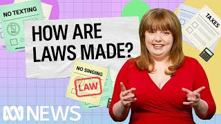 How are laws made  Politics Explained Easily  ABC News [upl. by Tombaugh]