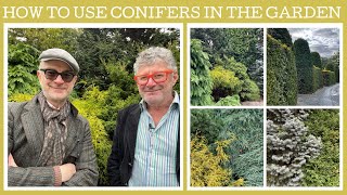 How to use conifers in the garden tips and ideas [upl. by Huebner]