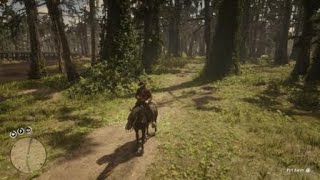 Red Dead Redemption 2  RDR2  REDDISH EGRET  LOCATION  ZOOLOGIST 57  SKIN DEEP [upl. by Abott]