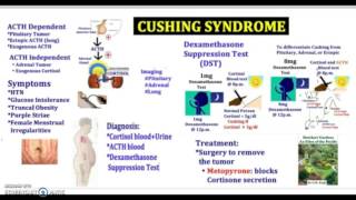 3 Minutes Cushing Syndrome Causes Symptoms Diagnosis Treatment Pathology USMLE NCLEX MCAT [upl. by Hillinck285]